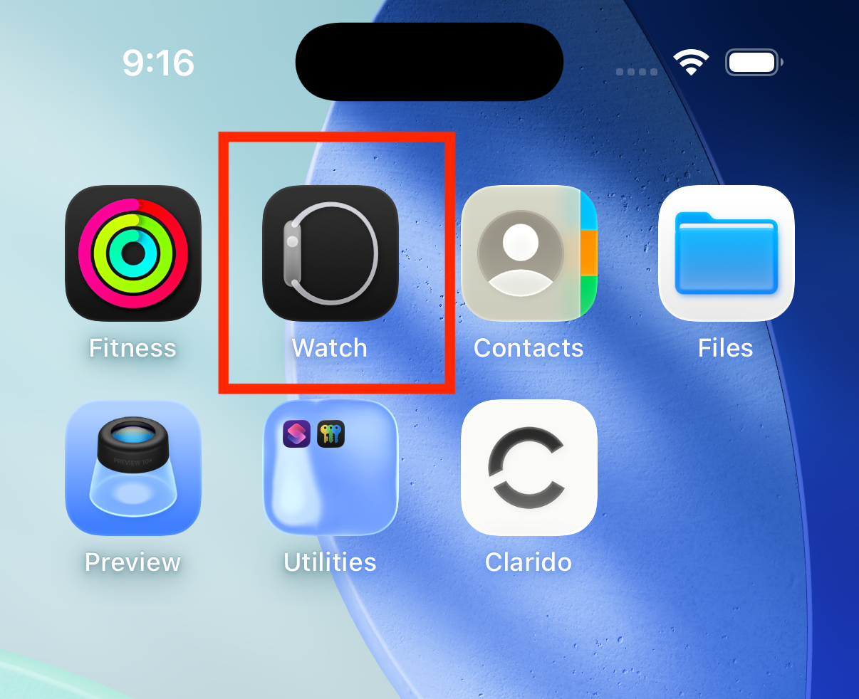 iPhone home screen showing the Watch app